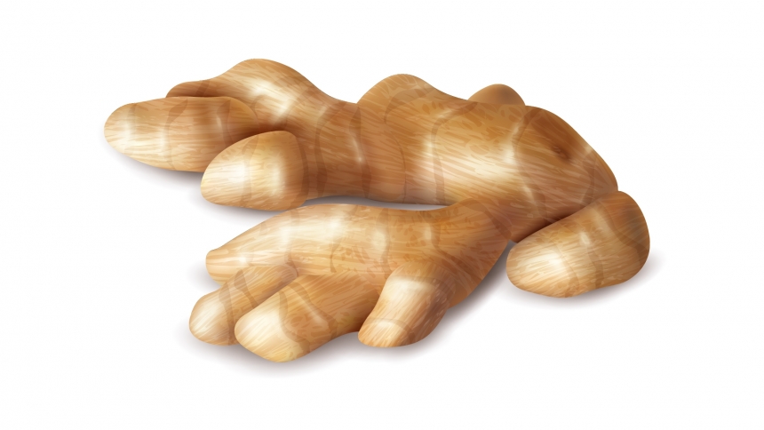 Ginseng